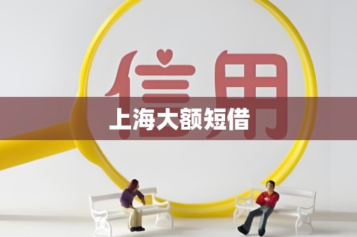上海大额短借