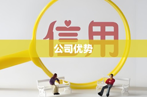 公司优势