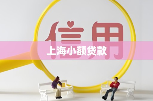 上海小额贷款